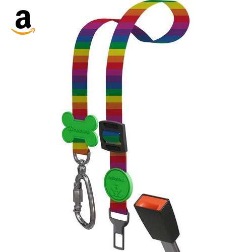 Cinto meuAuAu Rainbow para pets