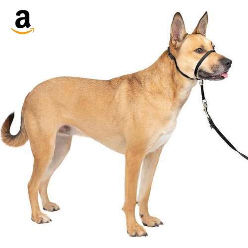 Coleira Gentle Leader para cães médio